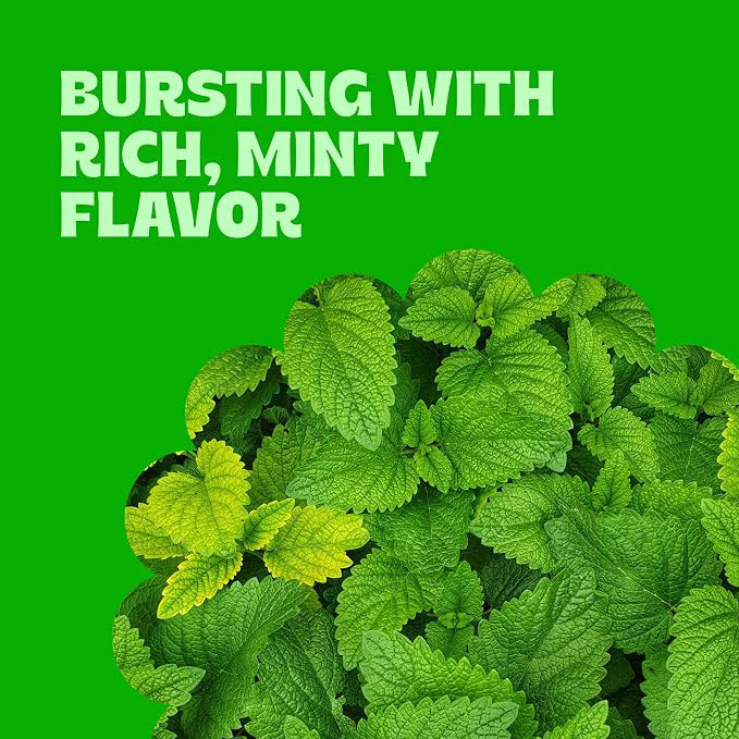 Jelly Spearmint Leaves Candy, Sugar Coated Natural Spearmint Flavor, Soft & Chewy Texture, Perfect for Snacking, Sharing, & Desserts, Packaged Fresh in Resealable Pouch